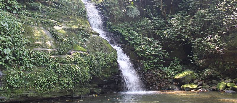 【汐止】大尖山步道及茄苳瀑布(櫻花與杜鵑花)