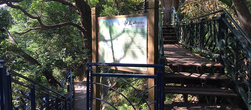 【新店】和美山(特色步道)
