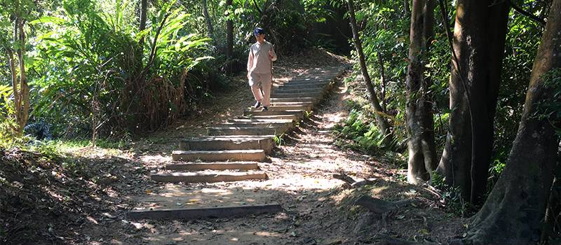 【新店】和美山(特色步道)