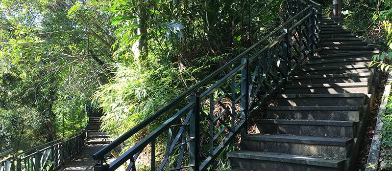 【新店】和美山(特色步道)