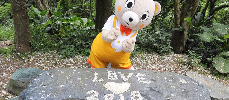 【土城】桐花公园、承天禅寺