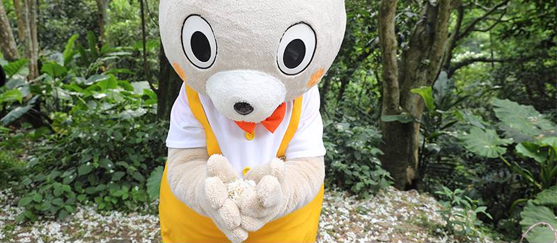 【土城】桐花公园、承天禅寺