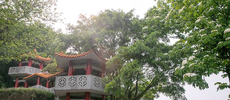 【三峡】鸢山、新北市客家文化园区