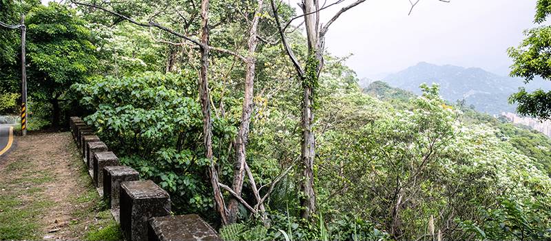 【三峡】鸢山、新北市客家文化园区