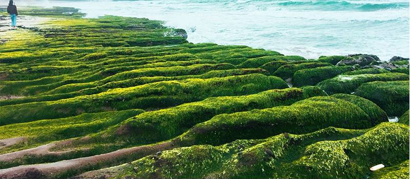 【石門】風箏公園