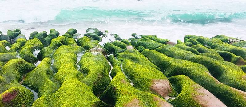 【石門】風箏公園