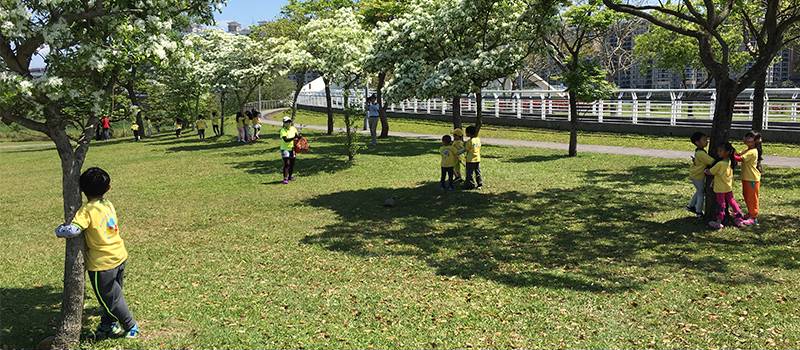 【新店】陽光運動公園