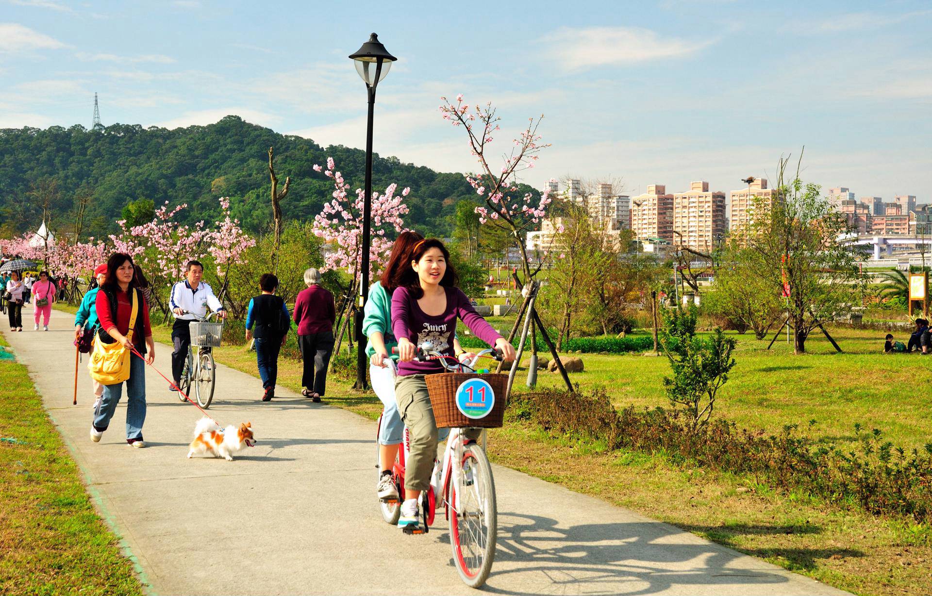 【新店】陽光運動公園