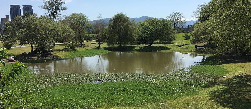 【新店】陽光運動公園