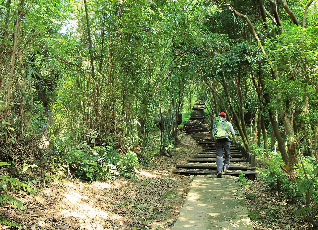 秘境探訪、最高の見晴らしの樹林へ