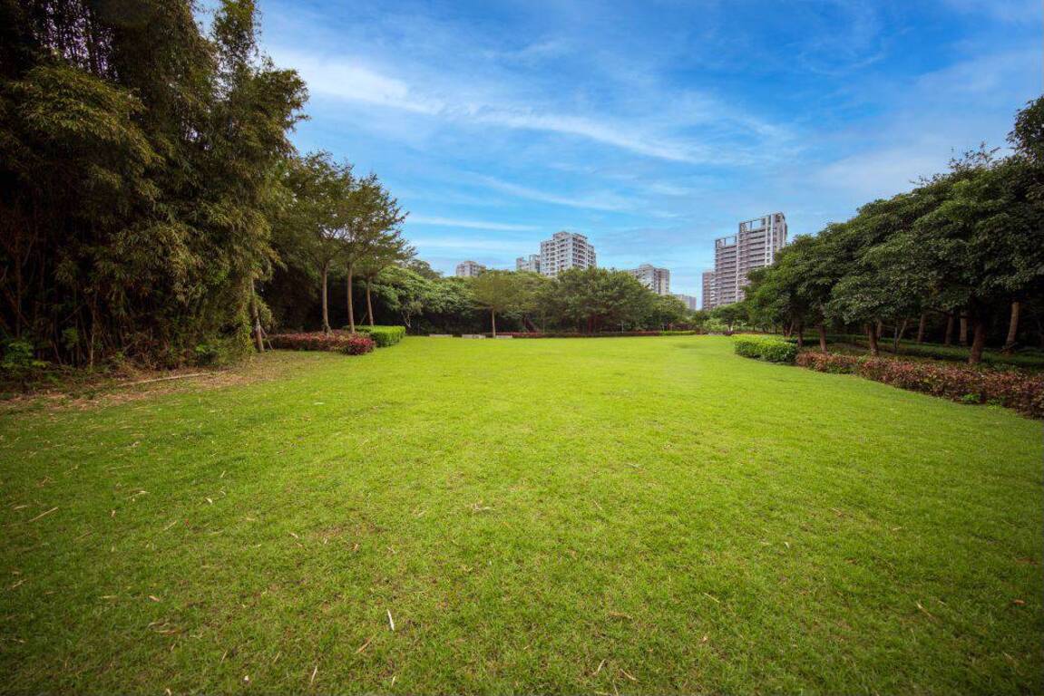 公園有大大的綠草坪