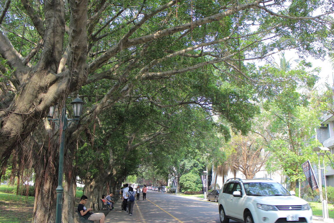 天主教輔仁大學校園