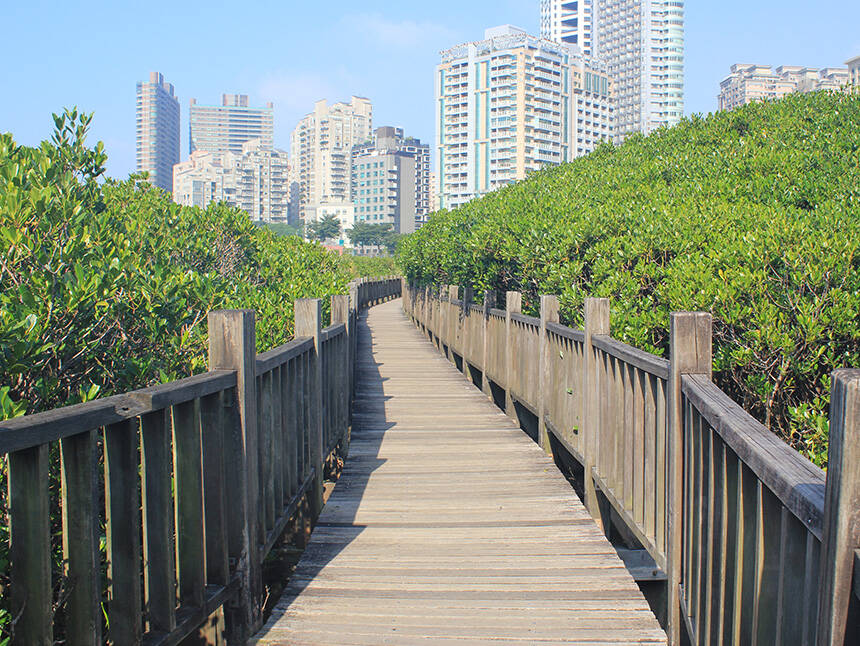 红树林自然保留区