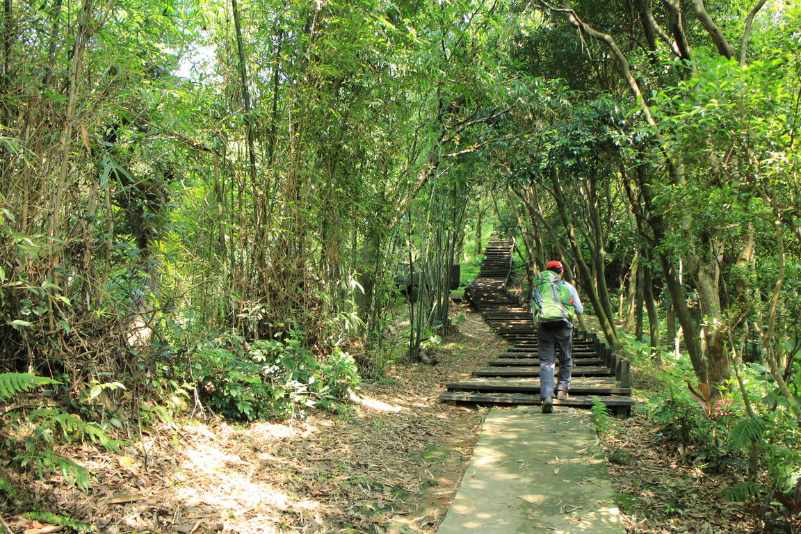 大同山登山步道之木棧道