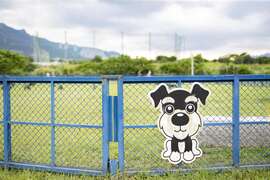 Take Your Pets for a Walk- the Qinqingchongwu Park in Xindian