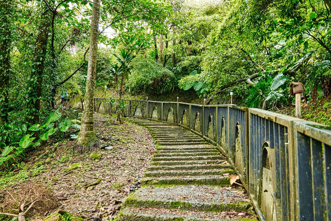 前往石底大斜坑步道