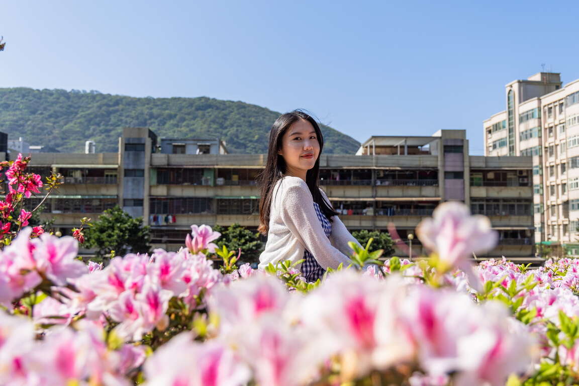 万金杜鹃花