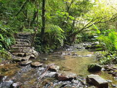 枋山坑古道