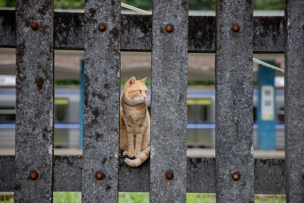 IMG_1961_調整大小