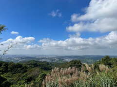 大栋山