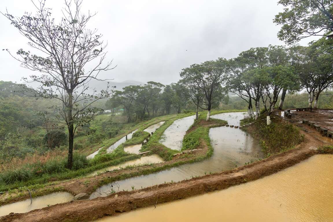 層層堆疊的水梯田,好天氣時能見到東海