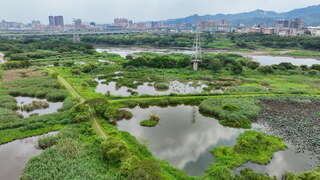 鹿角溪人工湿地