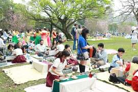 三峽綠茶祭(國立臺北大學提供)