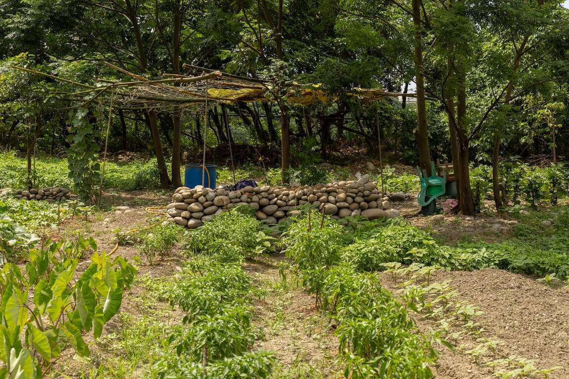 Lipahak三莺原生态园区内以石头堆叠的农园造景