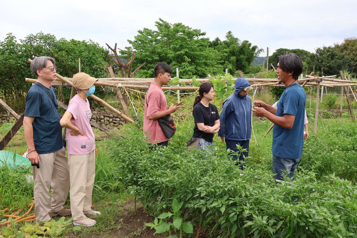 Lipahak三峡野菜园区导览活动(原住民族行政局/Lipahak三峡野菜园区提供)