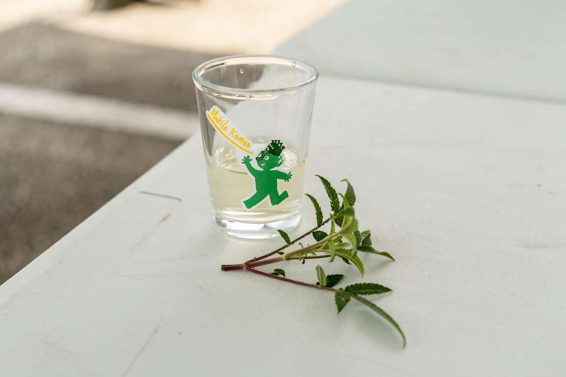 芳香万寿菊茶