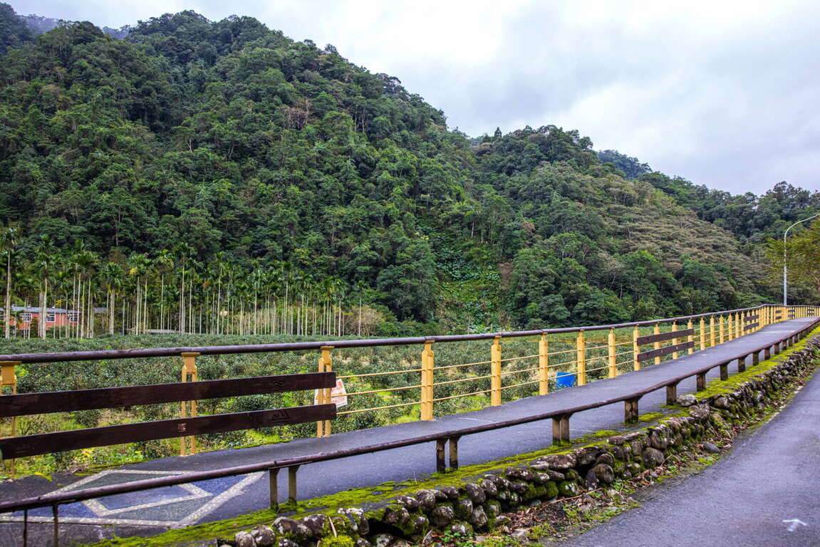 金瓜寮溪自行车道