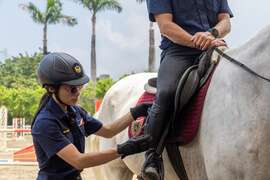 騎警介紹馬具