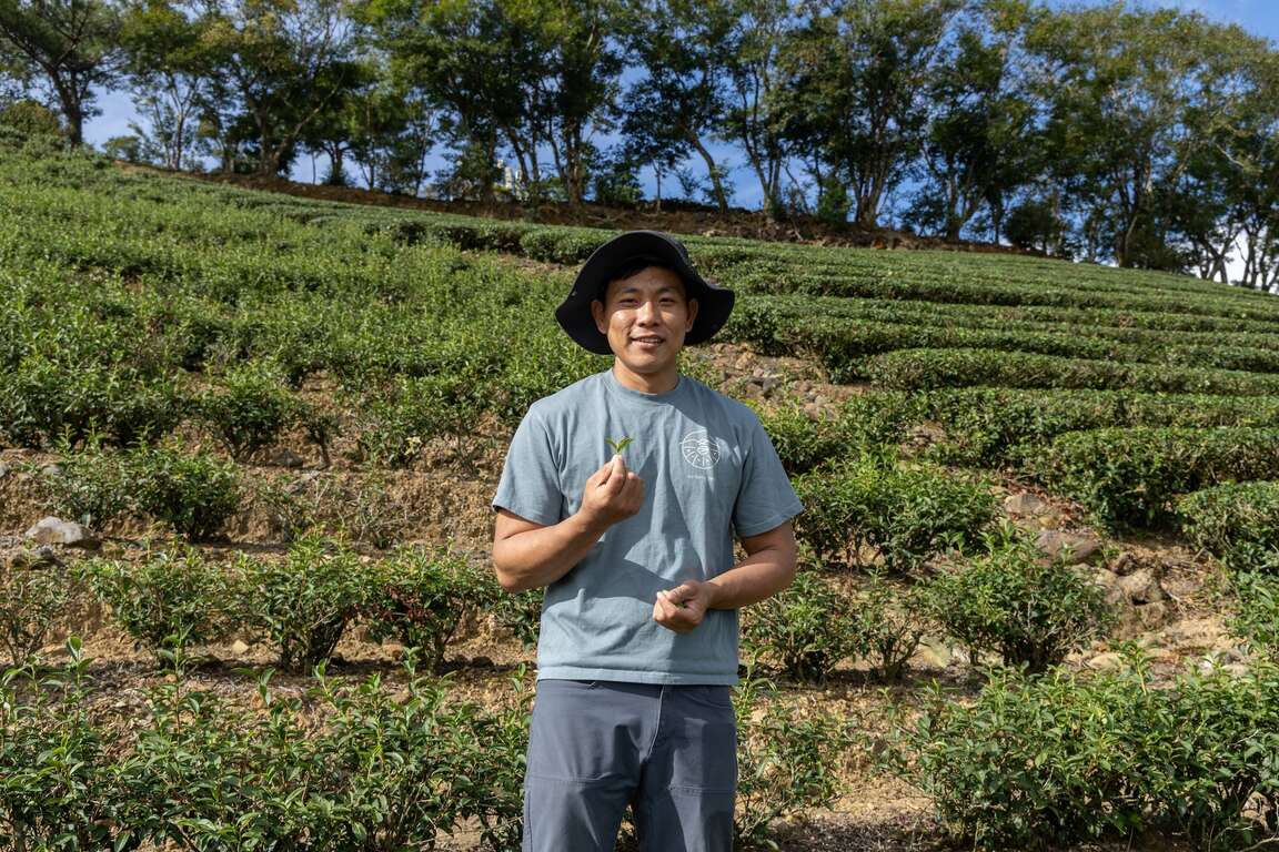 新峯友茶第五代老闆於自家茶園介紹