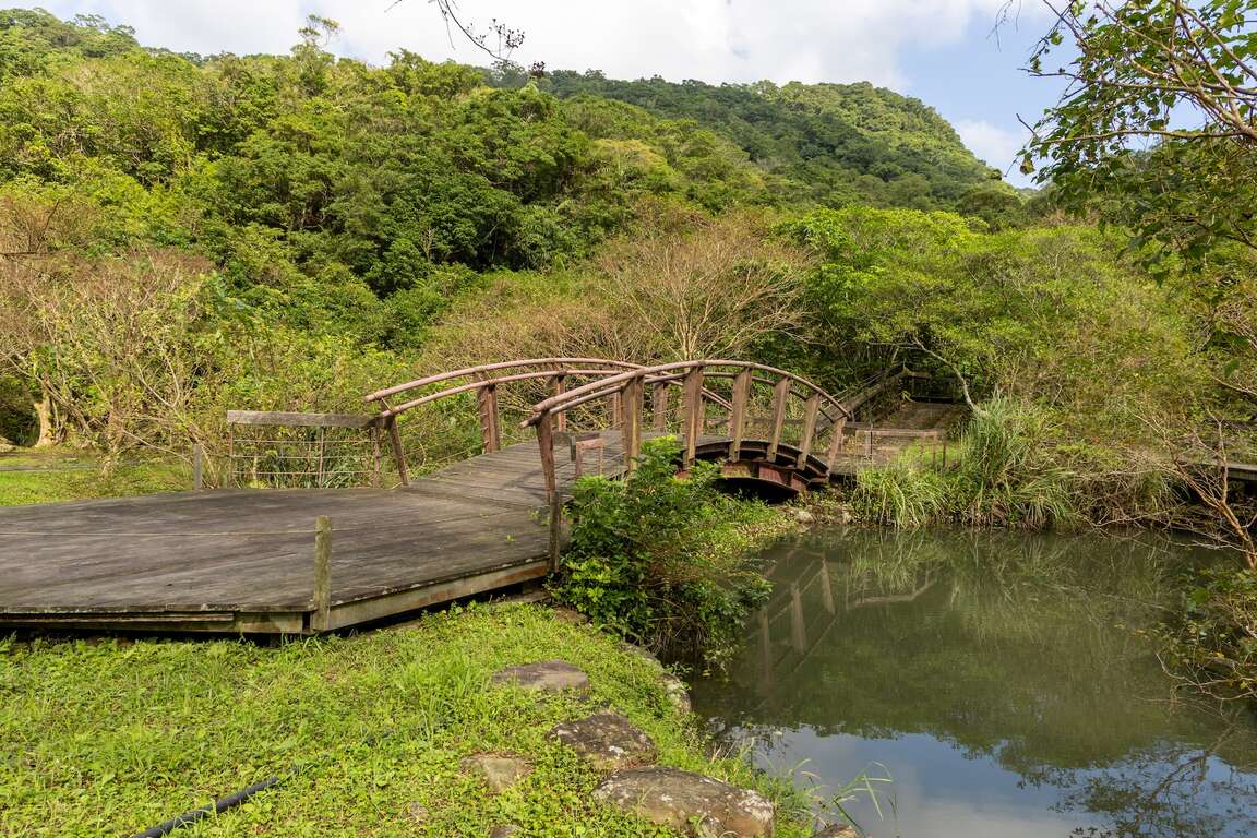 远望坑亲水公园木桥