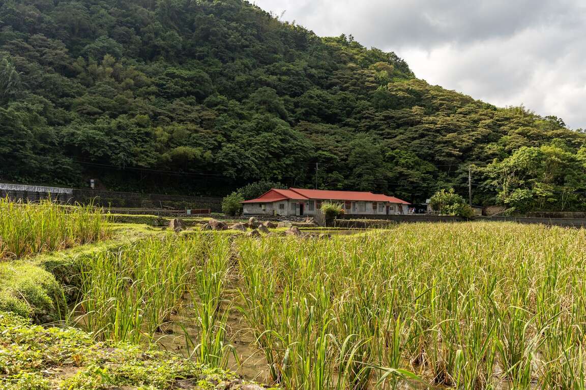 远望坑亲水公园水梯田