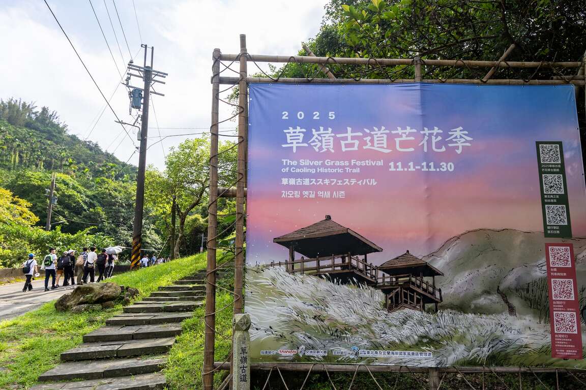 2025草岭古道芒花季