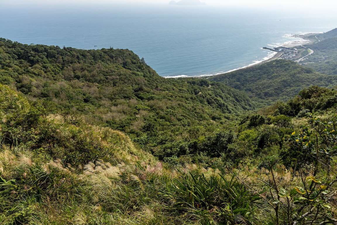 草岭古道芒花与太平洋