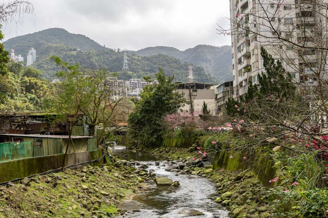 汐止康诰坑溪中游