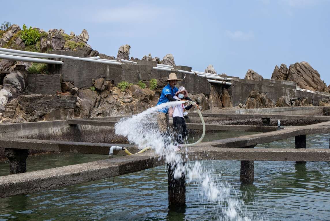 鮮物本舖餵食貢寮鮑
