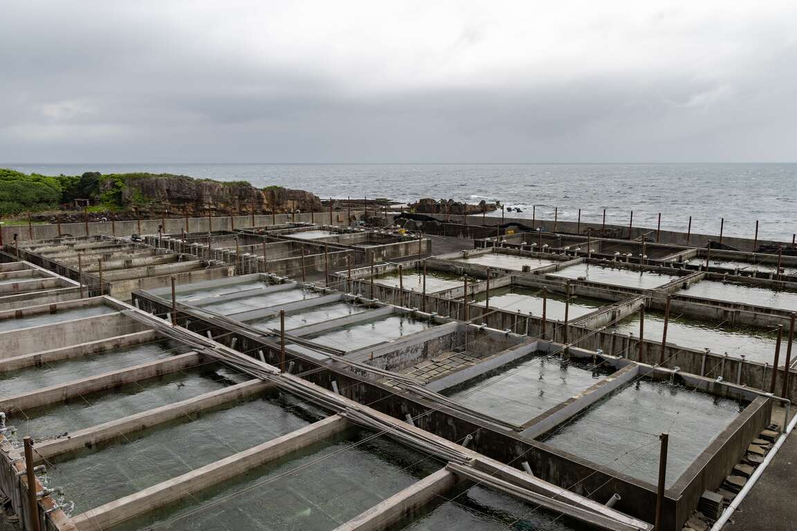 海洋資源復育園區養殖池