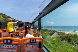 以双层巴士的高度欣赏海景