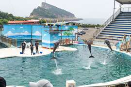 野柳海洋世界