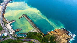 阴阳海