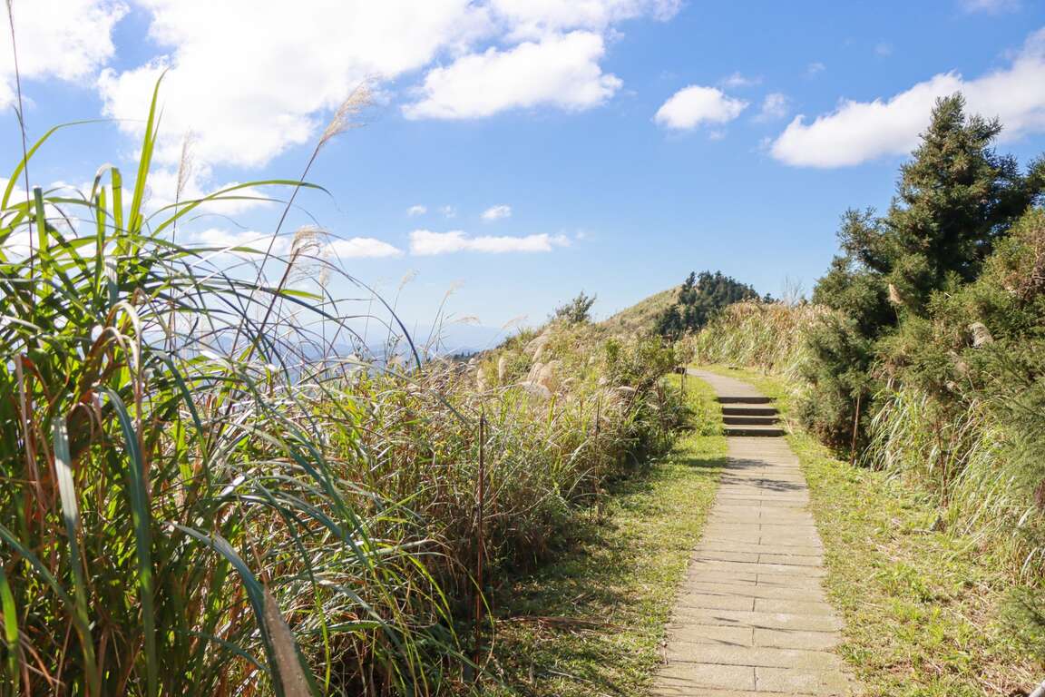 02五分山步道