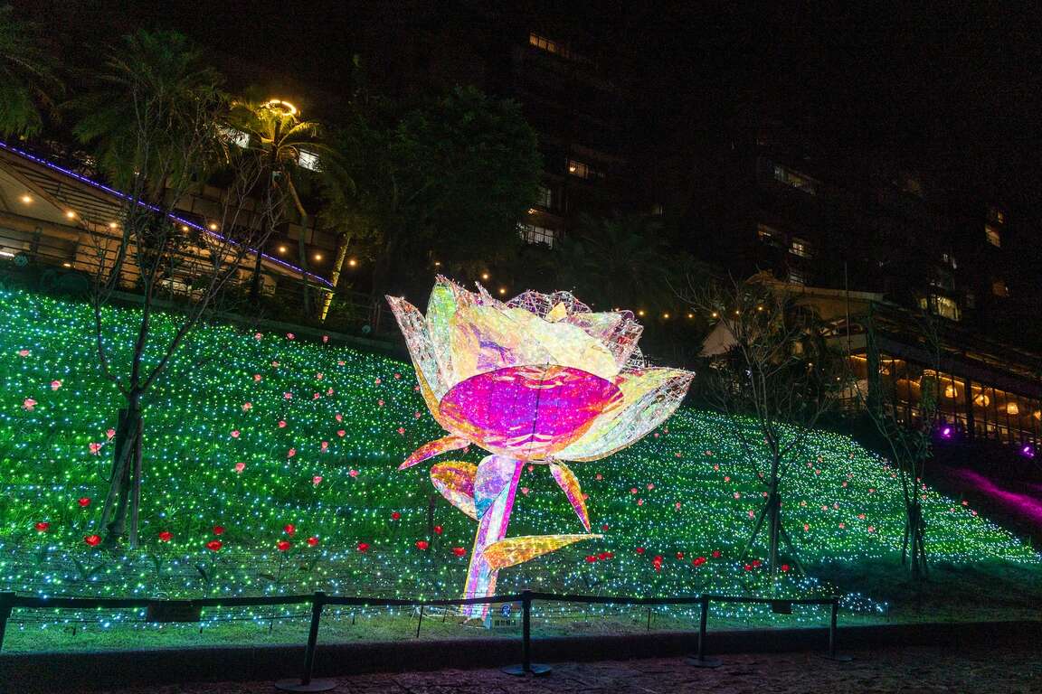玫瑰夜光裝置藝術
