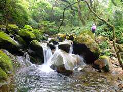 大屯溪古道+小观音山一隅