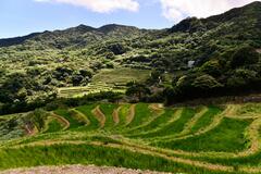 嵩山石門百年梯田1