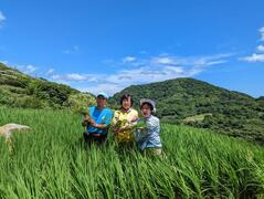 嵩山石門百年梯田2