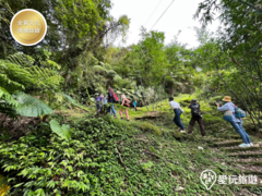 淡藍古道茶路 四分子古道找茶