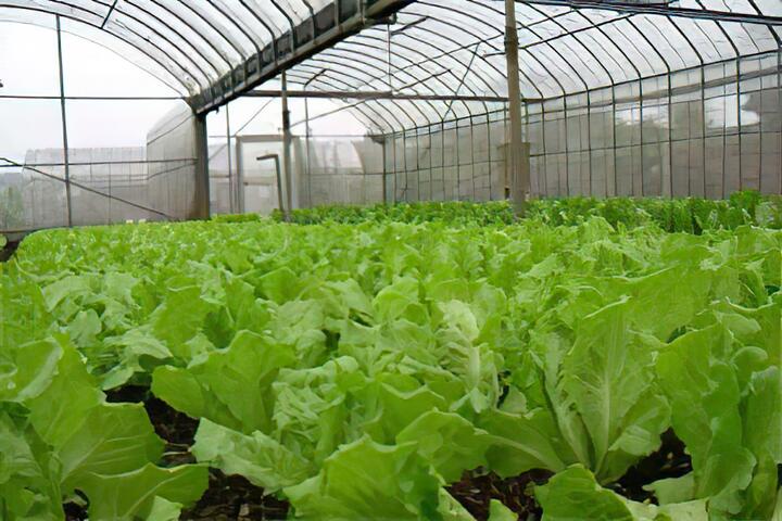 北新有機休閒農場